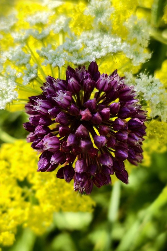 Photograph by Светлана Кравченко