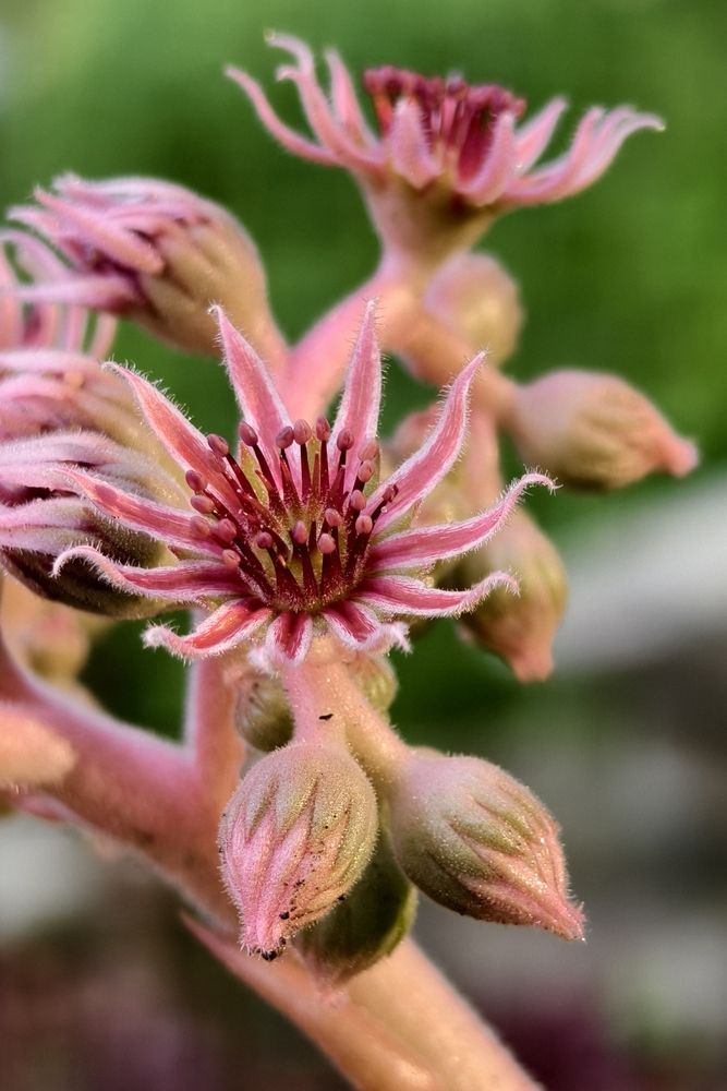 Photograph by Светлана Кравченко