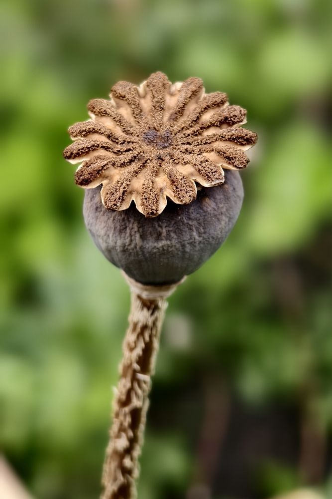 Photograph by Светлана Кравченко