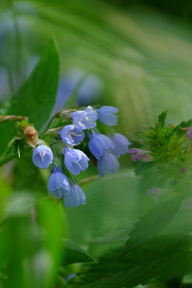 Photograph by Яна Бойко