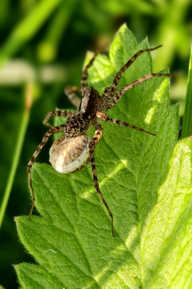 Photograph by Светлана Кравченко