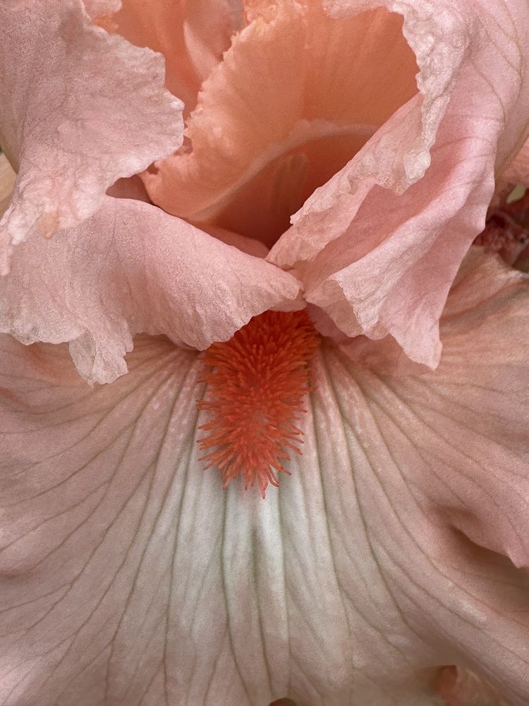 Photograph by Светлана Ионова