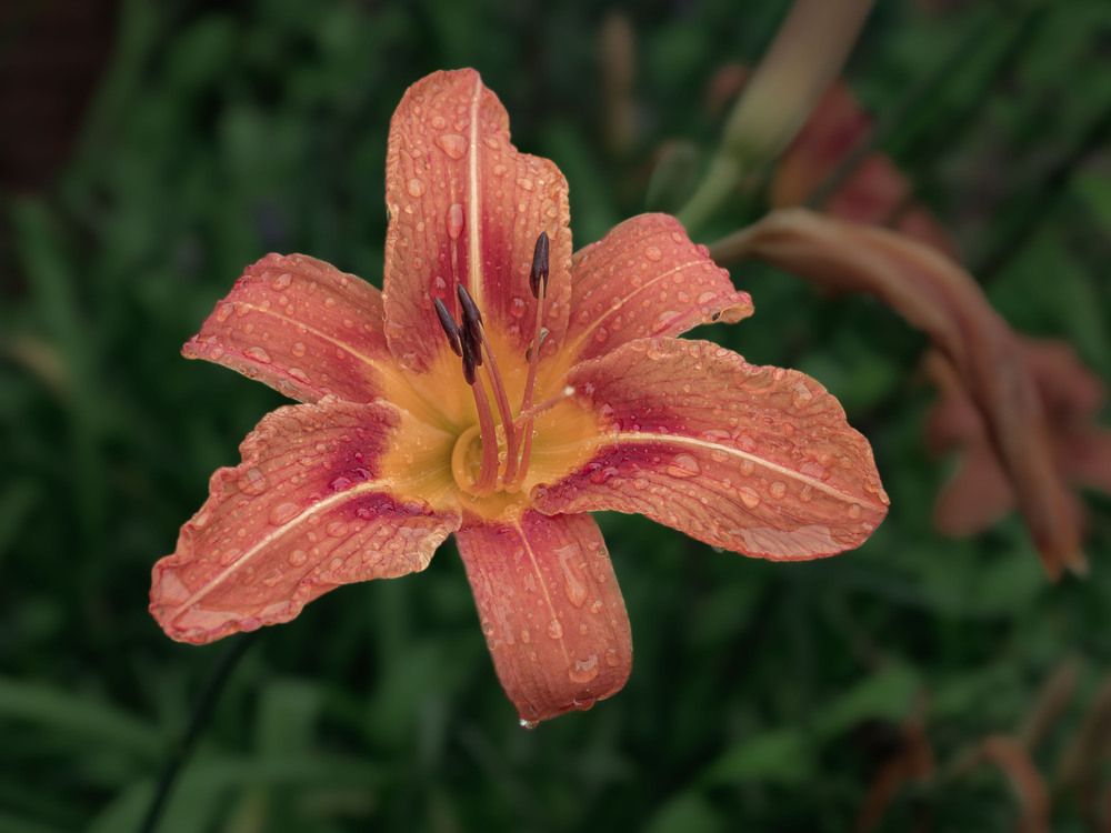 Photograph by Борис Полтавец