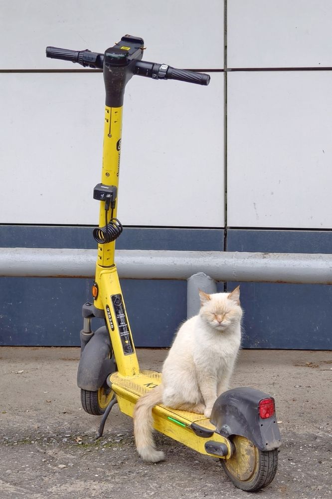 Photograph by Светлана Кравченко