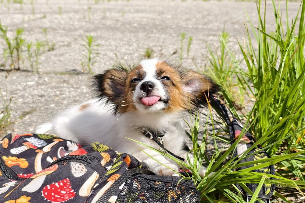 Photograph by Светлана Кравченко