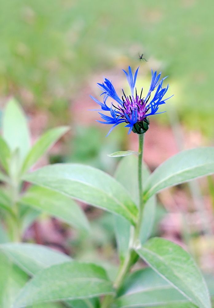 Фотография автора Е лена Е