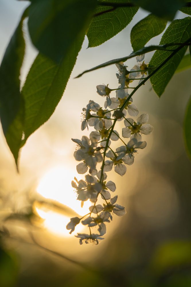 Photograph by Герман Крупенин