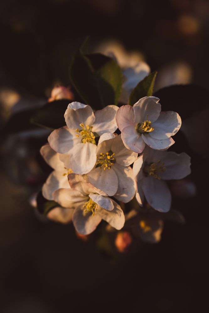 Photograph by Герман Крупенин