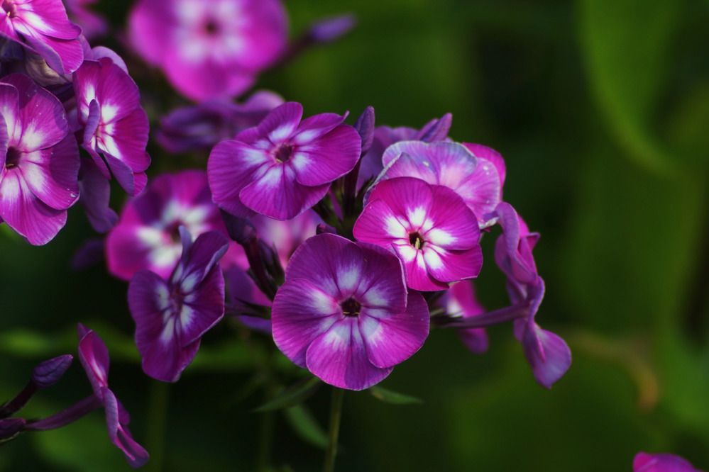 Photograph by Елена Наленч