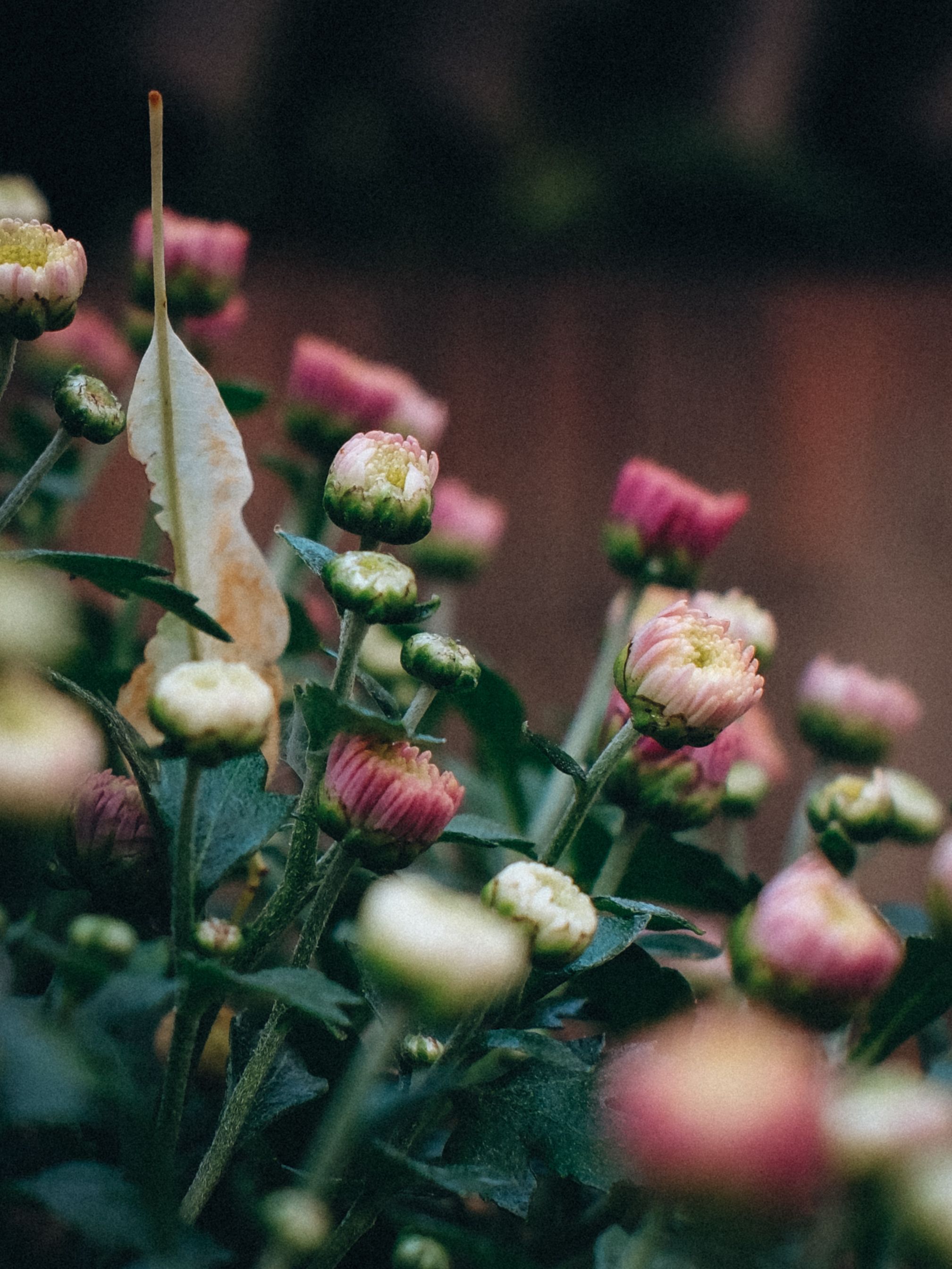 Photograph by Наталья Алфёрова