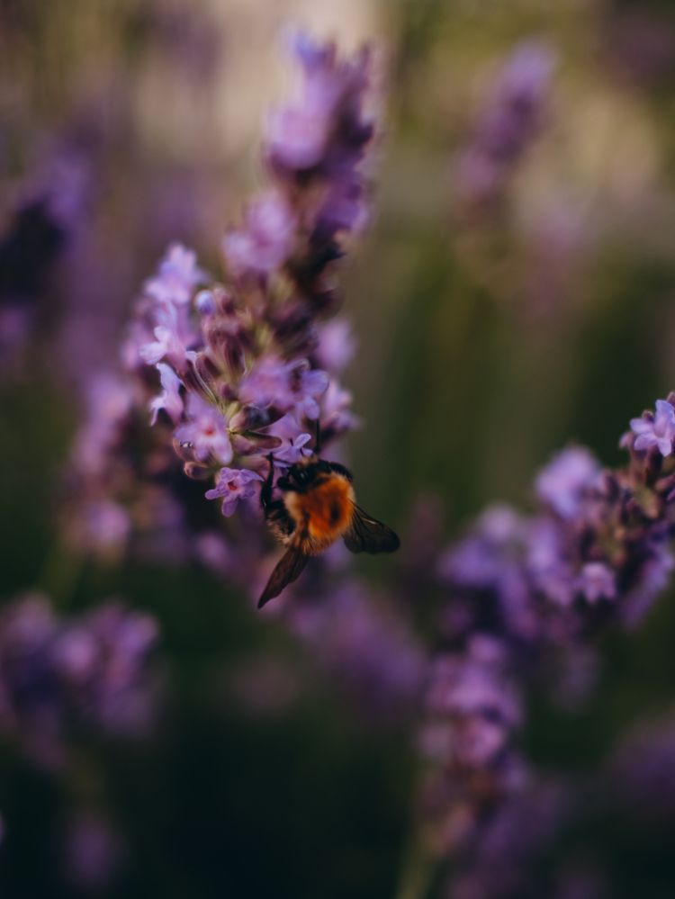 Photograph by Наталья Алфёрова