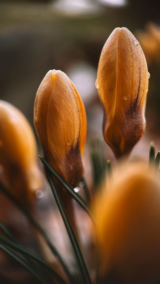 Photograph by Наталья Алфёрова