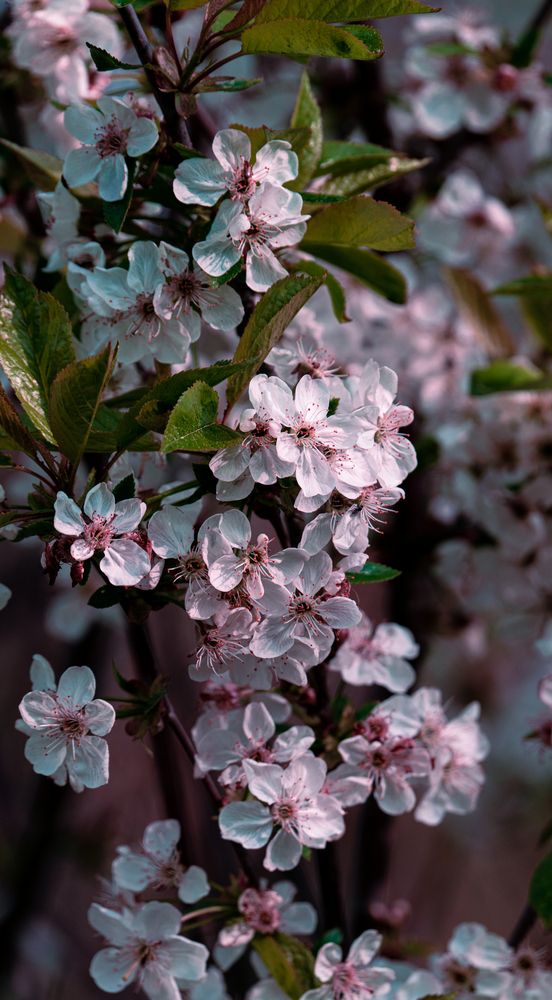 Photograph by Герман Крупенин