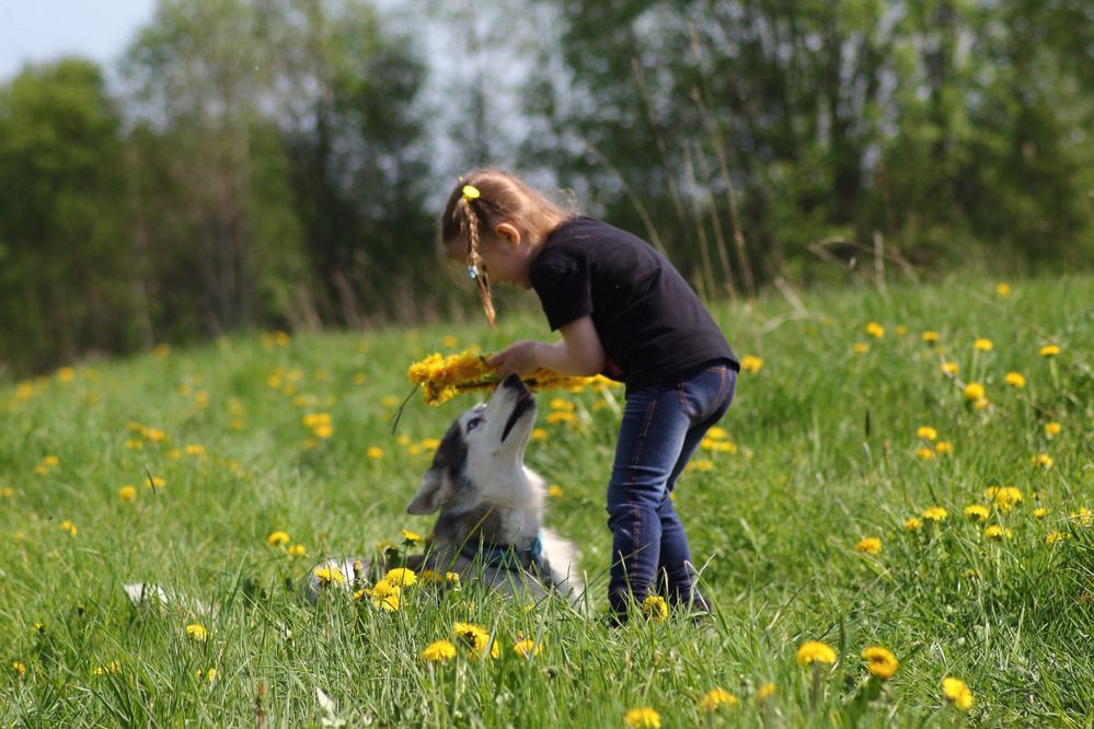Photograph by Елена Наленч