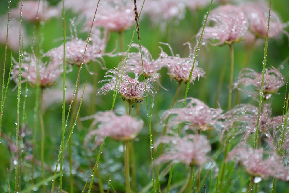 Photograph by Яна Бойко