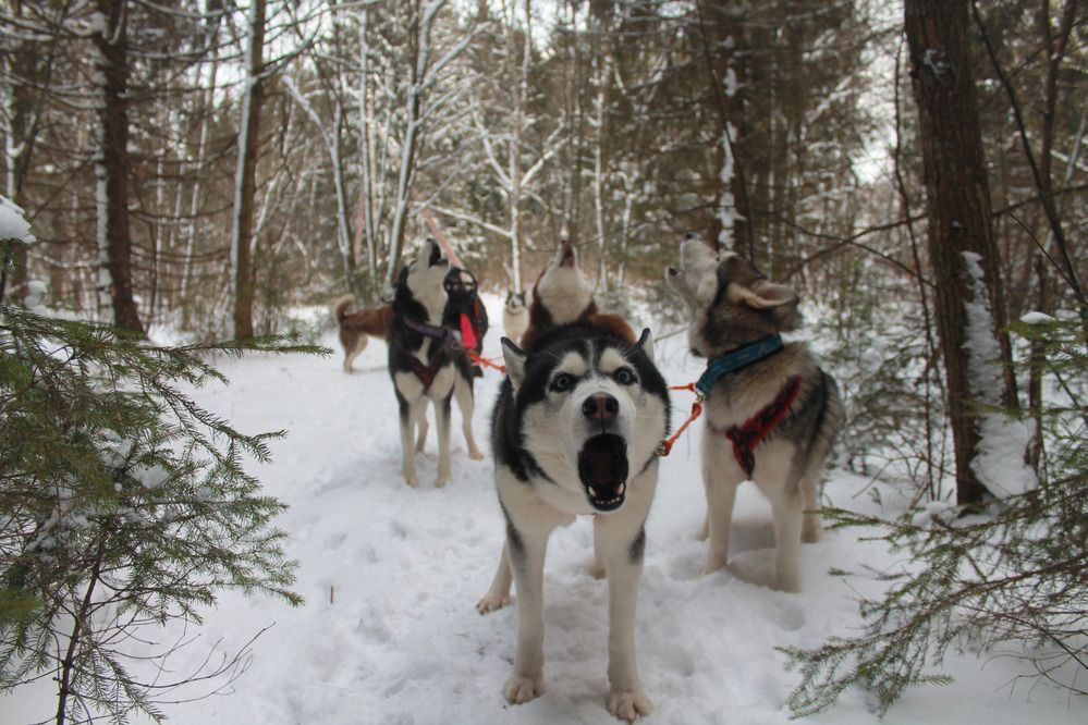 Photograph by Елена Наленч