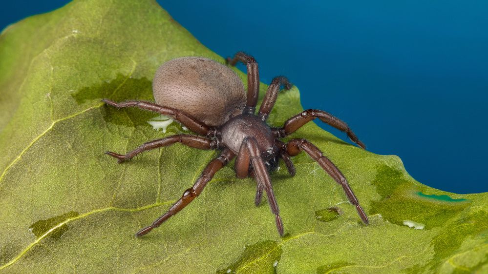 Фотография автора Андрей Кривов