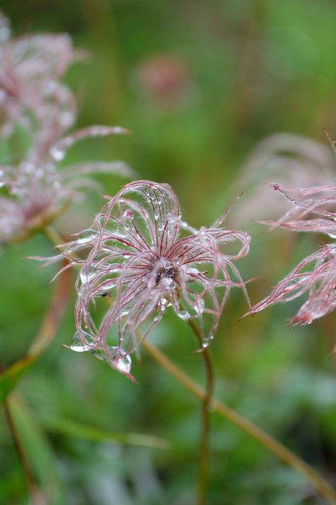 Photograph by Яна Бойко