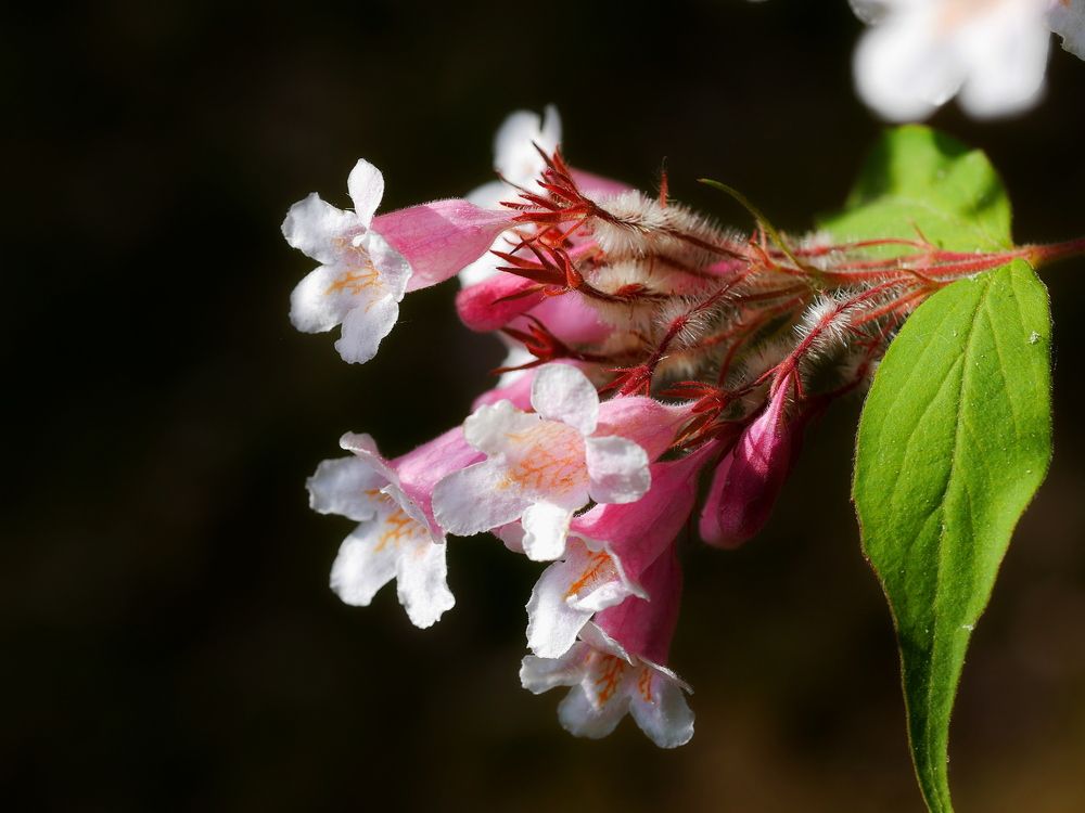 Photograph by Владимир Лобанов