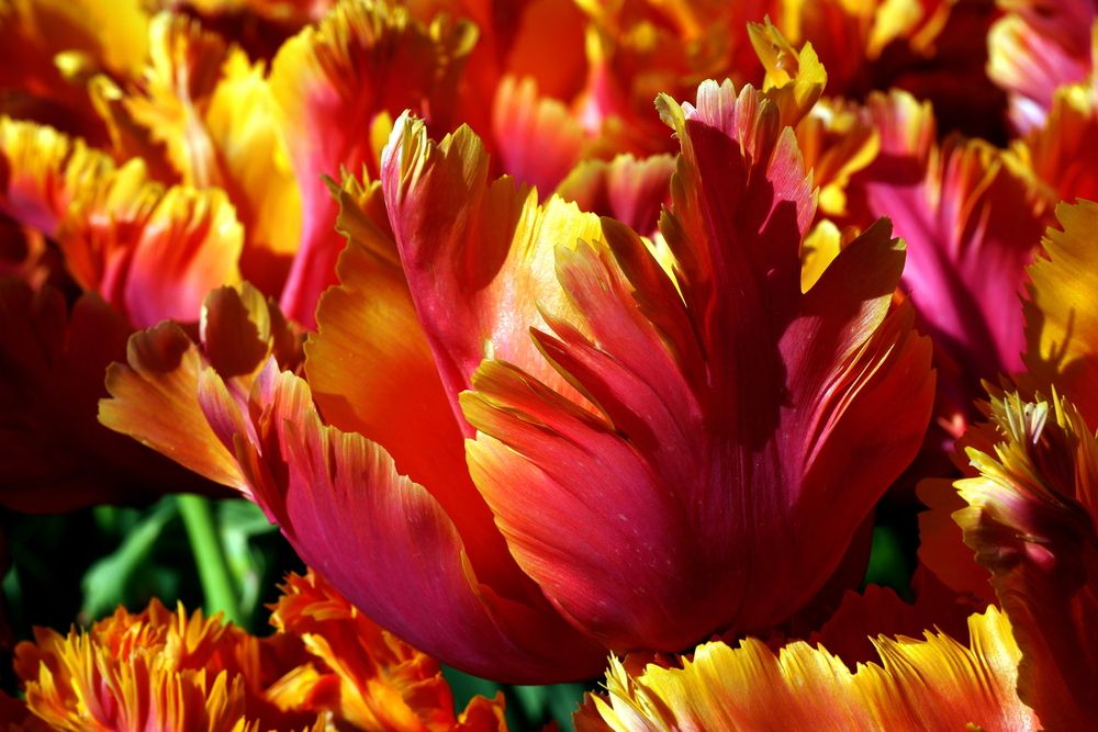 Photograph by Владимир Лобанов