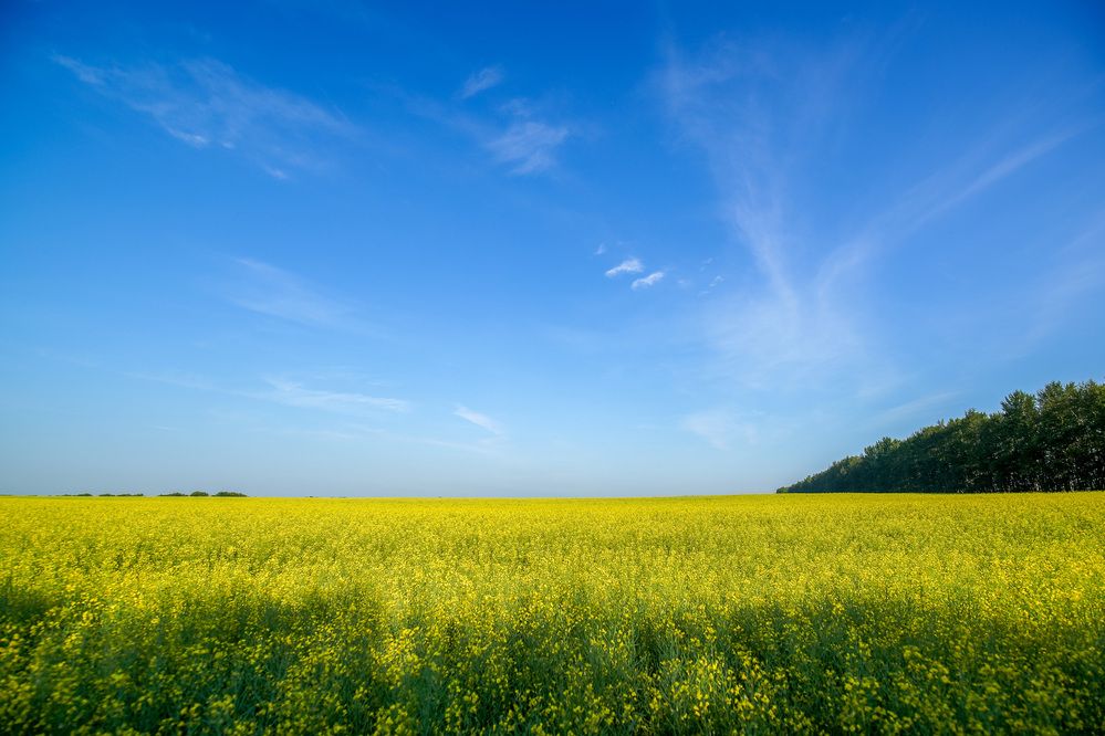 Фотография автора Дмитрий Герасимов