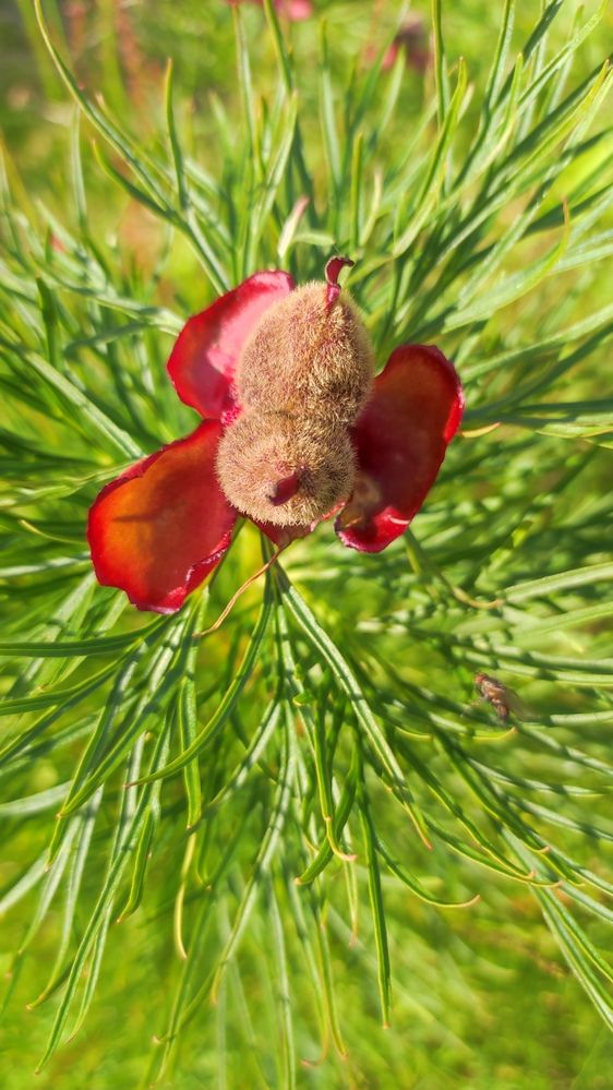 Photograph by Марийона Савоненко