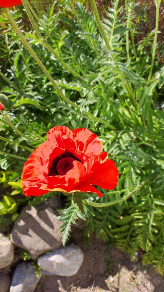 Photograph by Марийона Савоненко