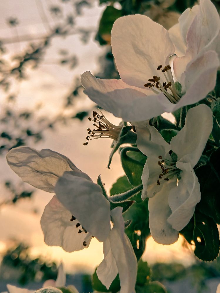 Photograph by Ольга Моисеева