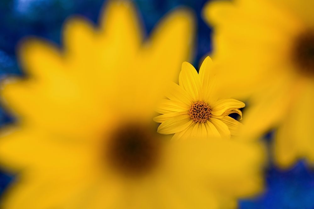 Photograph by Kveta Novotna