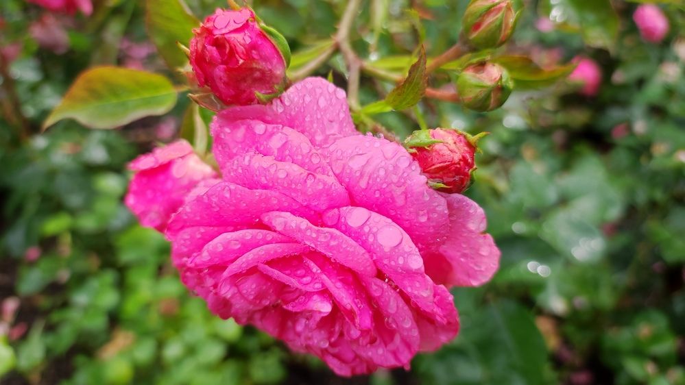 Photograph by Марийона Савоненко