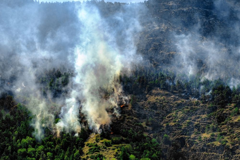 Photograph by Dmitry