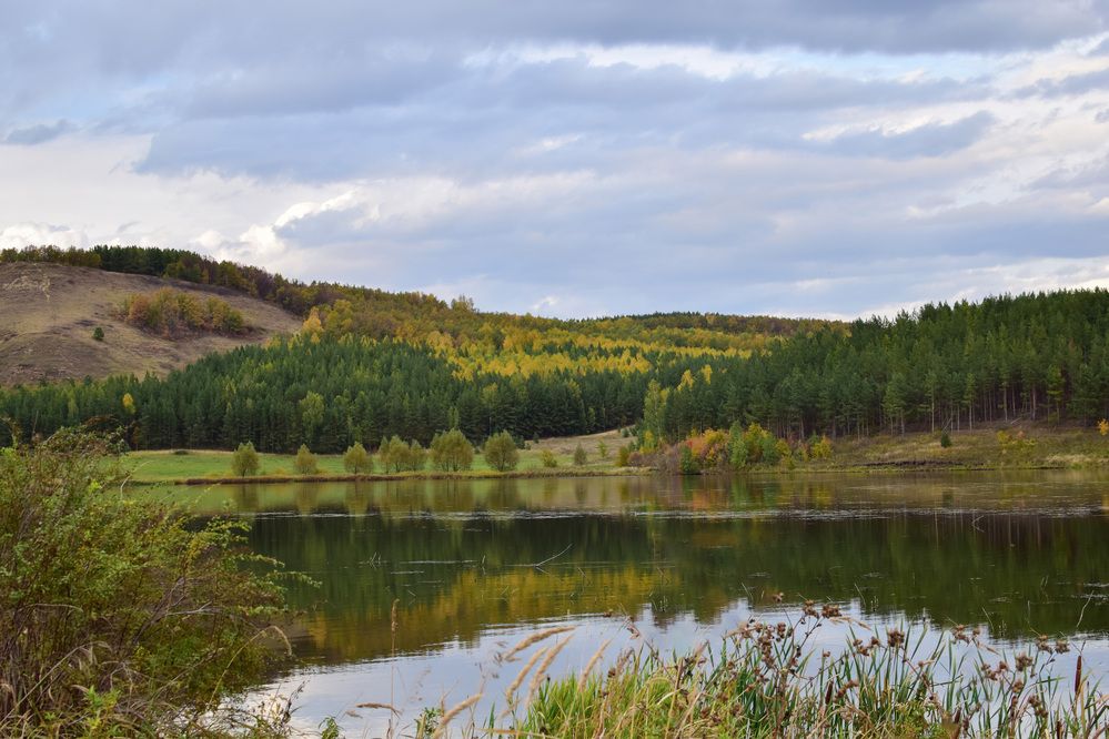 Фотография автора Дмитрий Герасимов