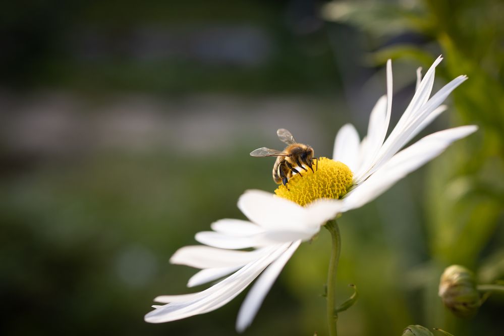 Photograph by Юлия Седова