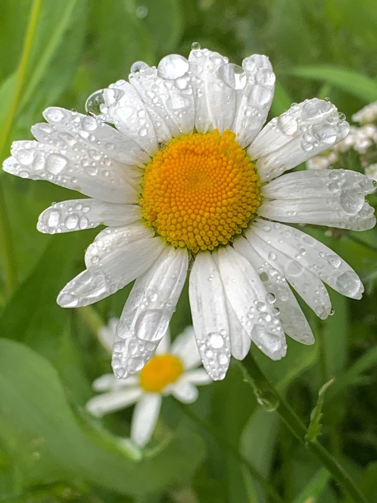 Photograph by Наталья Бирук