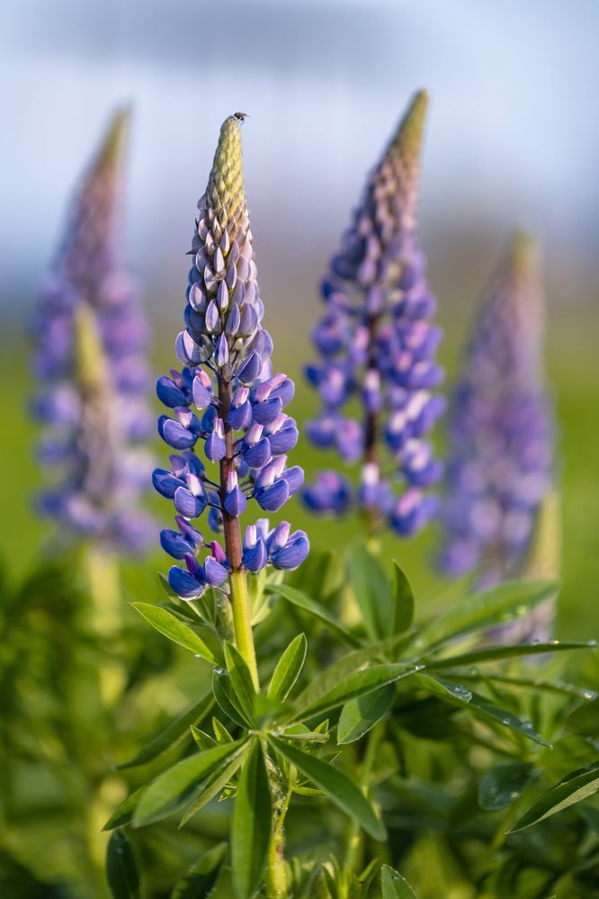 Photograph by ARTEM KORZHUKOV