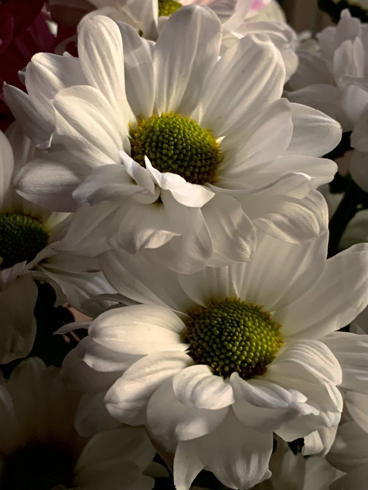 Photograph by Наталья Бирук