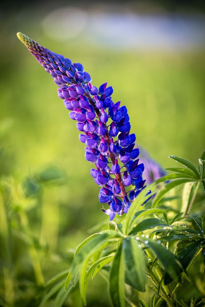 Photograph by ARTEM KORZHUKOV