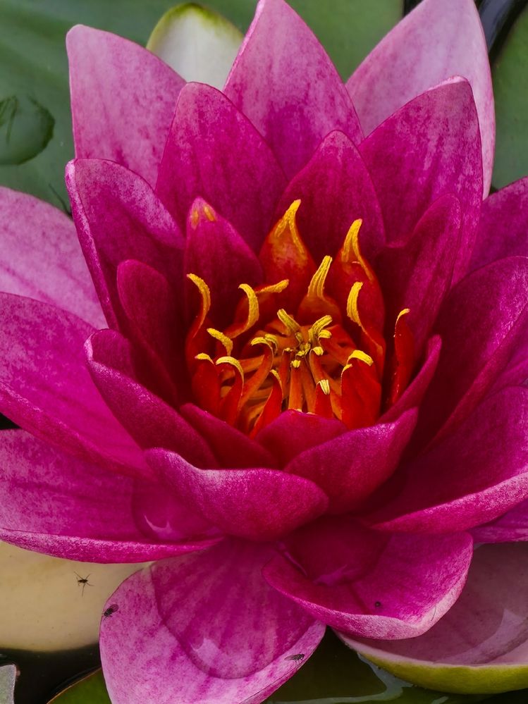 Photograph by Andrey Purtov