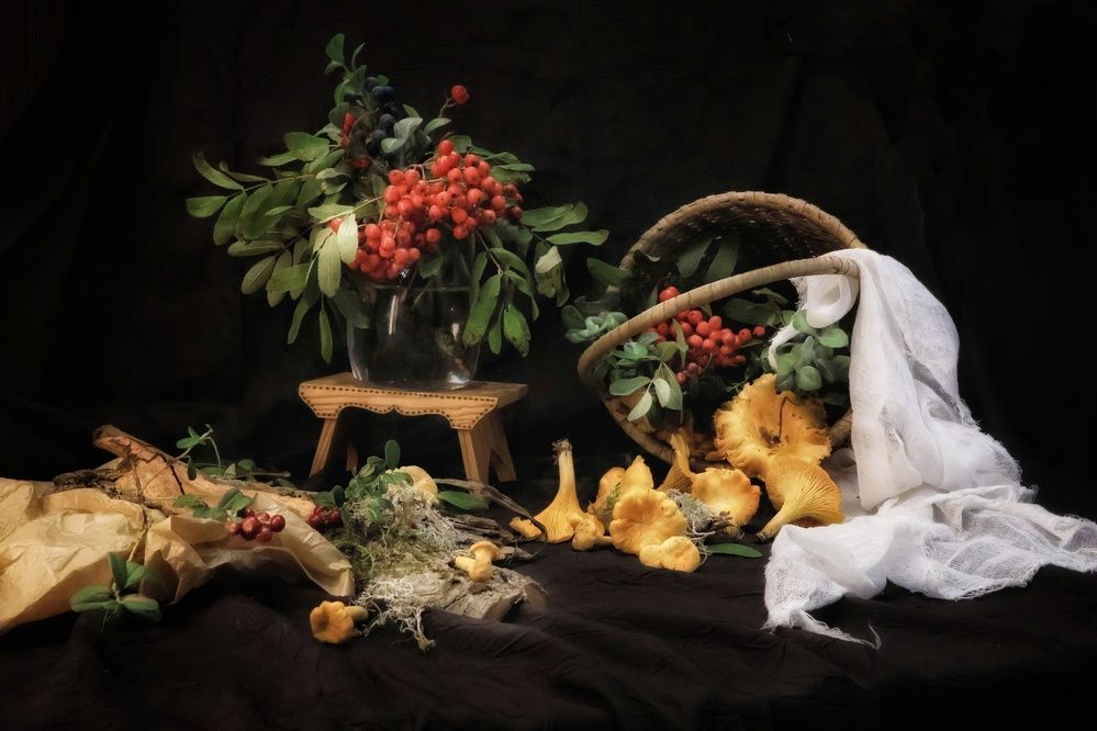Photograph by Olga Asson