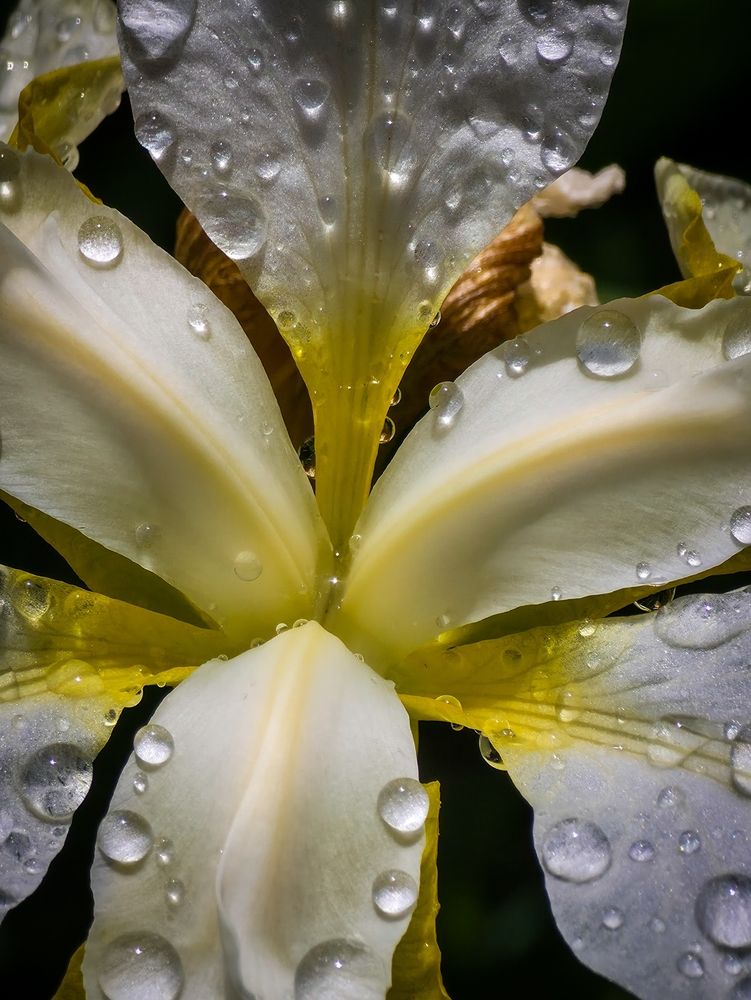 Photograph by Andrey Purtov