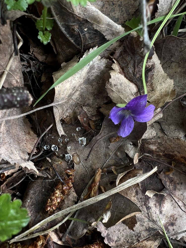 Photograph by Марина Рукавичко