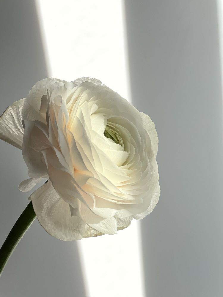 Photograph by Марина Рукавичко