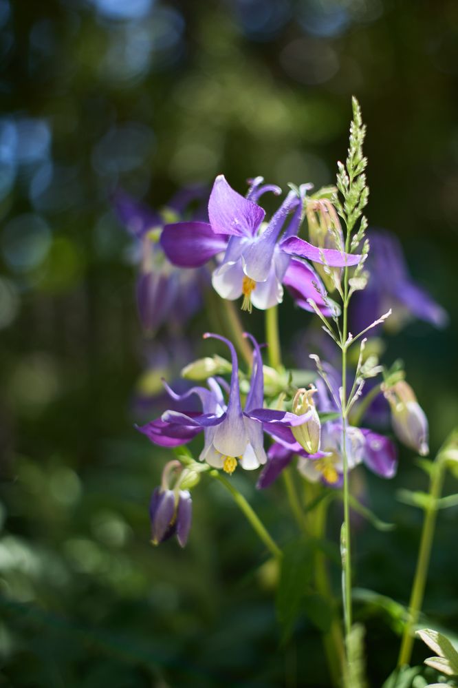 Photograph by Елизавета Соломатина