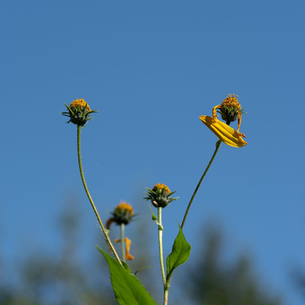 Фотография автора Pussa Vitaly