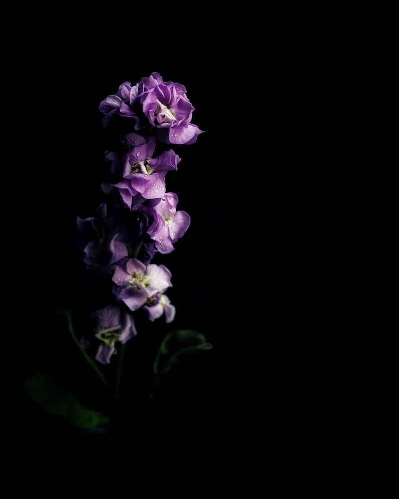 Photograph by Александра Кропивка