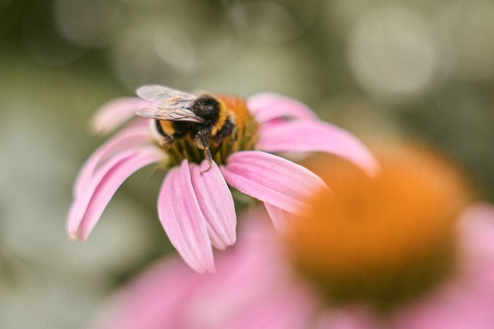 Photograph by Елизавета Соломатина