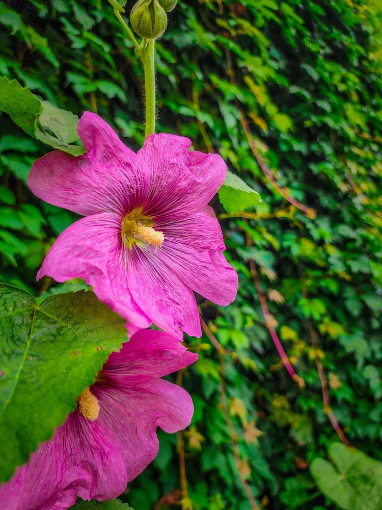 Фотография автора Evgeniy Shabanov