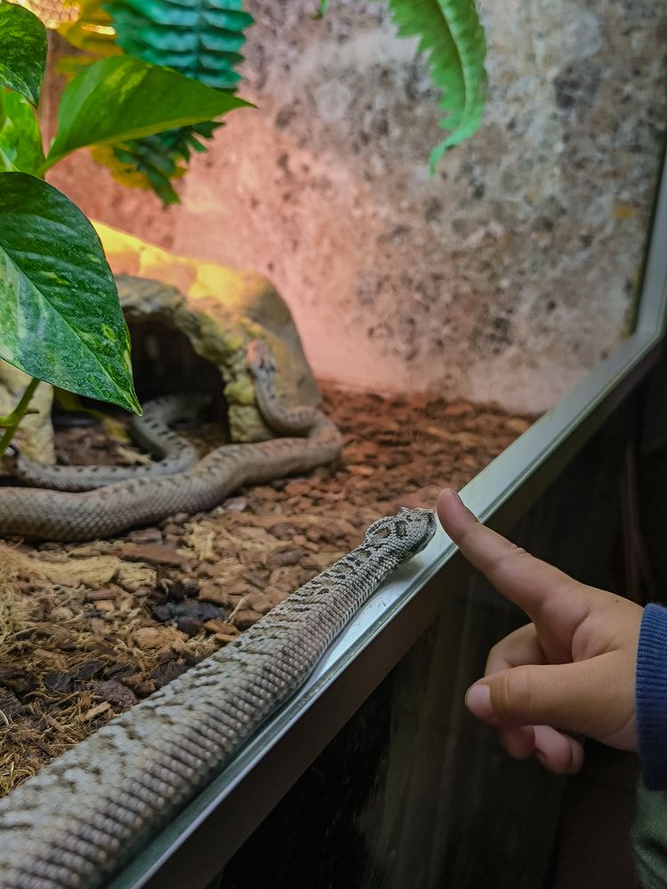 Photograph by Людмила Емельянчикова