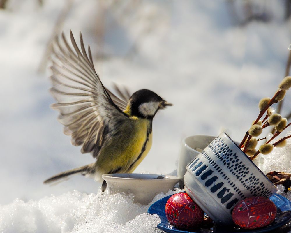 Photograph by Наталья Балабанова