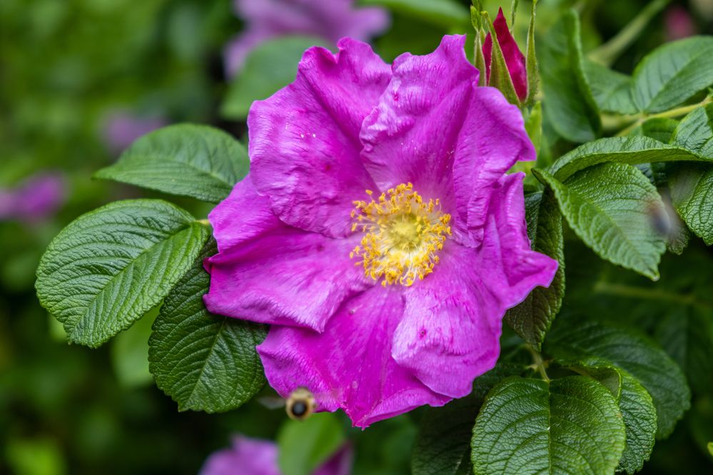 Photograph by ARTEM KORZHUKOV